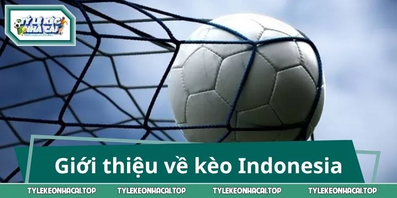 Giới thiệu tổng quan về kèo Indo