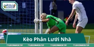 Kèo Phản Lưới Nhà: Giải Mã Cách Chơi, Luật Tính Cược Cụ Thể